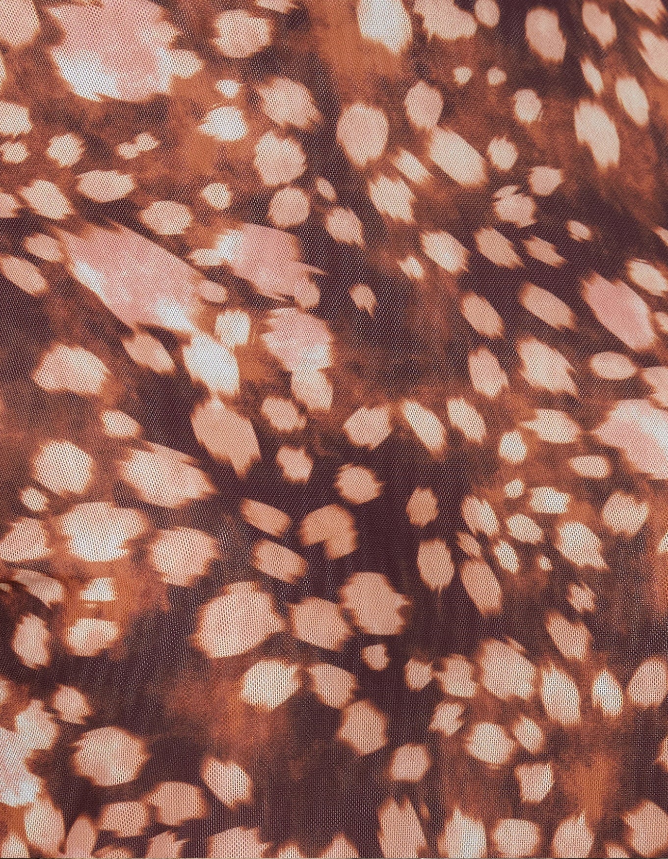 Top Journal | Bambi