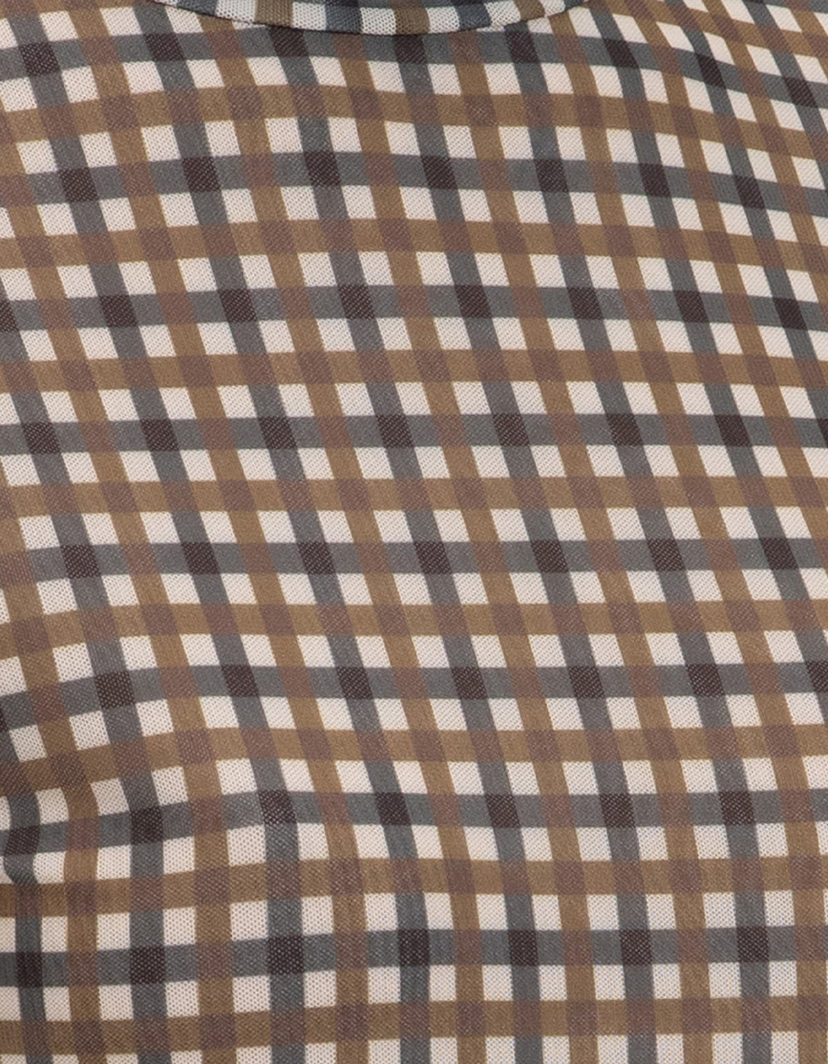 Top Rochwood | Biscotti Check
