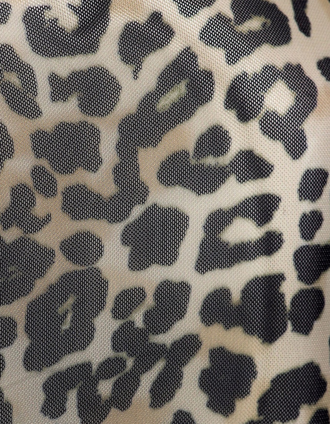 Top Journal | Animal